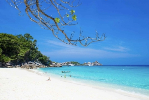 Vanuit Phuket : Snorkeltour bij Similan-eilanden