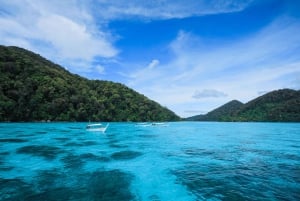 Fra Phuket: Surin Islands Snorkling dagstur med lunsj