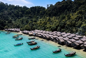 푸켓 출발: 점심 포함 수린 제도 스노클링 당일 여행