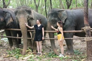 From Phuket to Elephant Sanctuary Tour with ATV Bike & Lunch