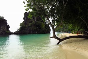 Full-Day Phang Nga Bay Cruise with Meals from Phuket