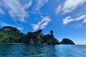 Heldags charter med privat speedbåd til Phi Phi-øerne + Krabi