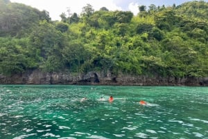 Heldag Phi Phi-öarna + Krabi privat charter med motorbåt