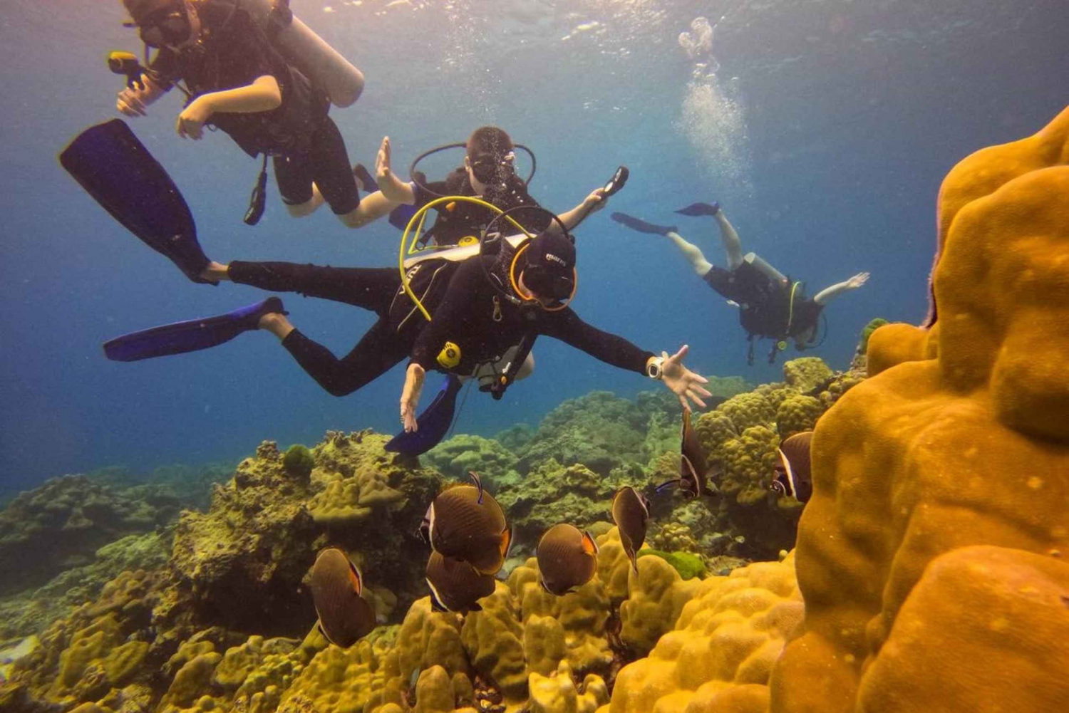 Von Phuket aus: Ganztägige Similan Island Scuba Diving Tagestour