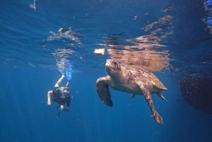 Von Phuket aus: Ganztägige Similan Island Scuba Diving Tagestour