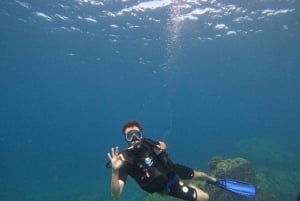 Von Phuket aus: Ganztägige Similan Island Scuba Diving Tagestour