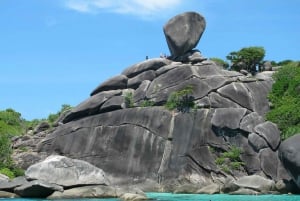 Von Phuket aus: Ganztägige Similan Island Scuba Diving Tagestour