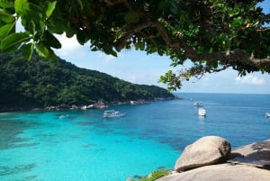 Von Phuket aus: Ganztägige Similan Island Scuba Diving Tagestour