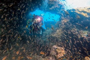 2 immersioni nella splendida barriera corallina della spiaggia nel cuore di Phuket