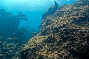 2 immersioni nella splendida barriera corallina della spiaggia nel cuore di Phuket