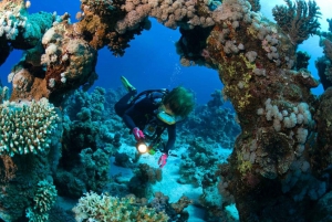 3 Fun Dives for Certified King Cruiser wreck and Koh Dok Mai