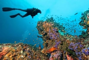 3 leuke duiken voor gebrevetteerden: Phi Phi eilanden en Shark Point