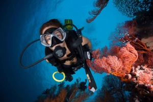 3 Fun Dives for Certified: Phi Phi islands and Shark Point