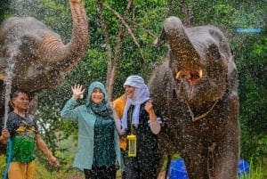 Phuket: Fütterung und Regenschauer im Elefantencamp mit Meerblick