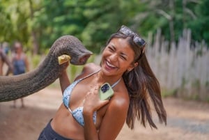 Phuket: Fütterung und Regenschauer im Elefantencamp mit Meerblick