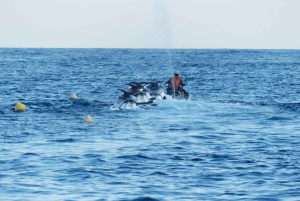 제트스키 하프데이