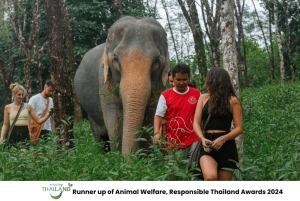 Khao Lak: Koko päivän norsujen suojelualueen elämys pienille ryhmille