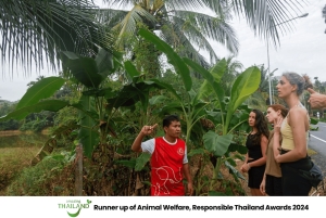 Khao Lak: Koko päivän norsujen suojelualueen elämys pienille ryhmille