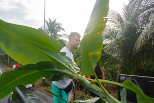 Khao Lak: Koko päivän norsujen suojelualueen elämys pienille ryhmille