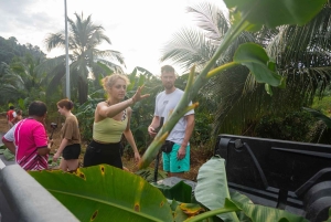 Khao Lak: Koko päivän norsujen suojelualueen elämys pienille ryhmille