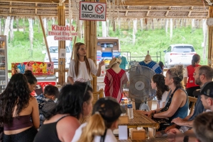 Khao Lak: Koko päivän norsujen suojelualueen elämys pienille ryhmille
