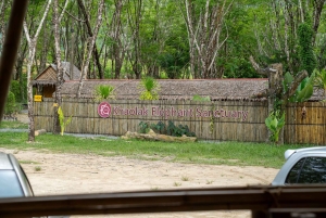 Khao Lak: Koko päivän norsujen suojelualueen elämys pienille ryhmille