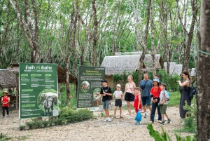 Khao Lak: Koko päivän norsujen suojelualueen elämys pienille ryhmille