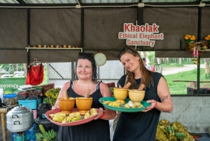 Khao Lak: Koko päivän norsujen suojelualueen elämys pienille ryhmille