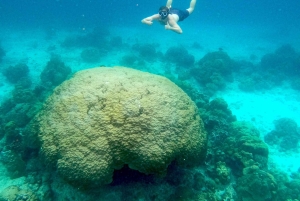 카오락: 프라이빗 롱테일 투어로 즐기는 피피 당일 여행