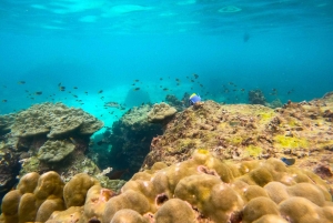 카오락: 프라이빗 롱테일 투어로 즐기는 피피 당일 여행