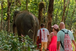 Khao Lak : éléphant éthique, tyrolienne et quad premium