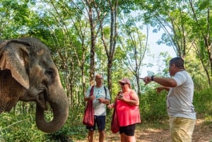 Khao Lak : éléphant éthique, tyrolienne et quad premium