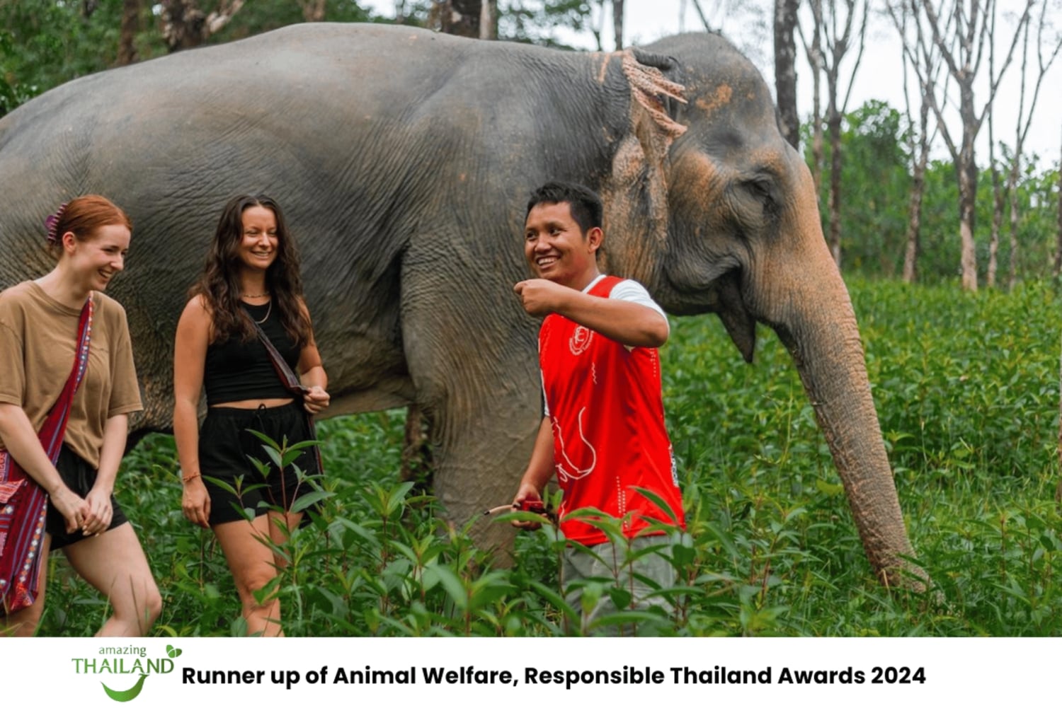 Khao Lak: Etisk övernattning i elefantreservat