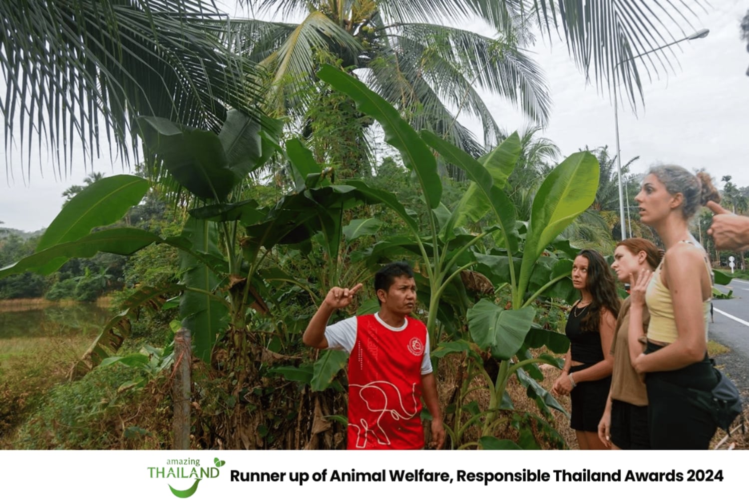 Khao Lak: Etisk övernattning i elefantreservat