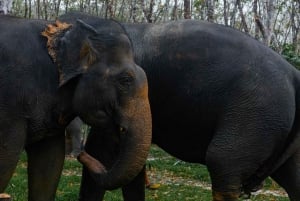 Khao Lak: Etisk övernattning i elefantreservat