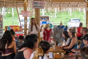 Khao Lak: Etisk övernattning i elefantreservat