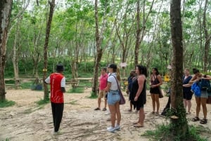 Khao Lak: Etisk övernattning i elefantreservat