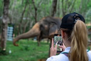 Khao Lak: Etisk övernattning i elefantreservat