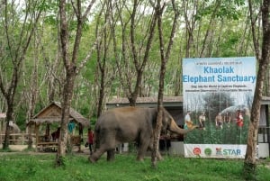 Khao Lak: Etisk övernattning i elefantreservat