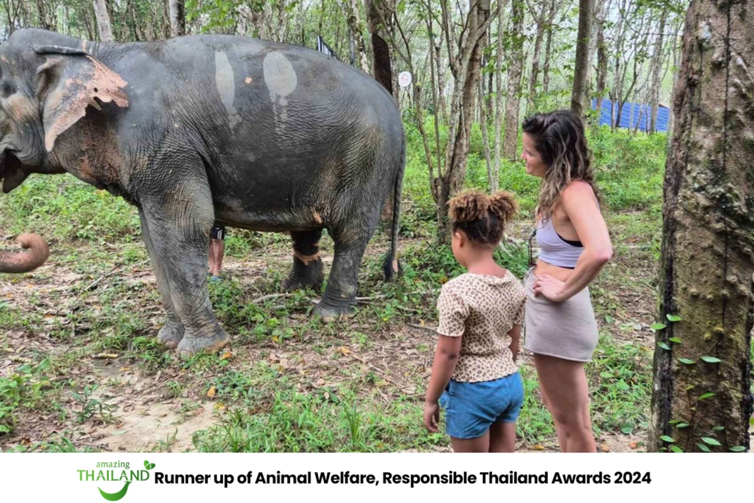 Khao Lak: Guidet tur til elefantsanatorium og transport til hotellet