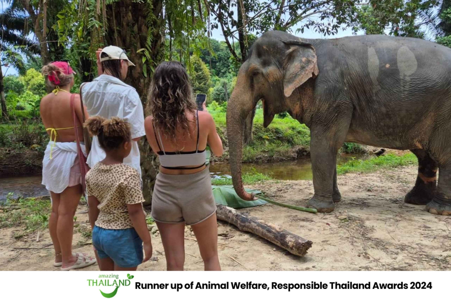 Khao Lak: Guidet tur til elefantsanatorium og transport til hotellet