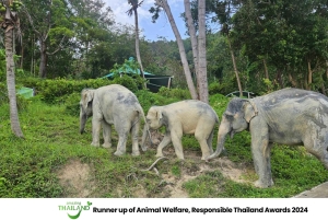 Khao Lak: Guidet tur til elefantsanatorium og transport til hotellet