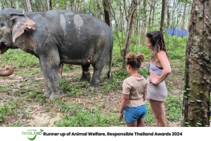 Khao Lak: Guidet tur til elefantsanatorium og transport til hotellet