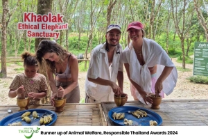 Khao Lak: Guidet tur til elefantsanatorium og transport til hotellet