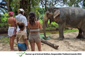 Khao Lak: Guidet tur til elefantsanatorium og transport til hotellet