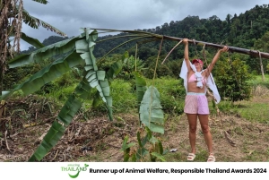 Khao Lak: Guidet tur til elefantsanatorium og transport til hotellet