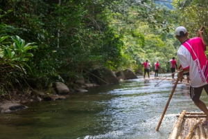 Khao Lak: Halvdagstur med bambusrafting og frokost