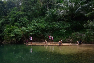 Khao Lak: Halvdagstur med bambusrafting og frokost