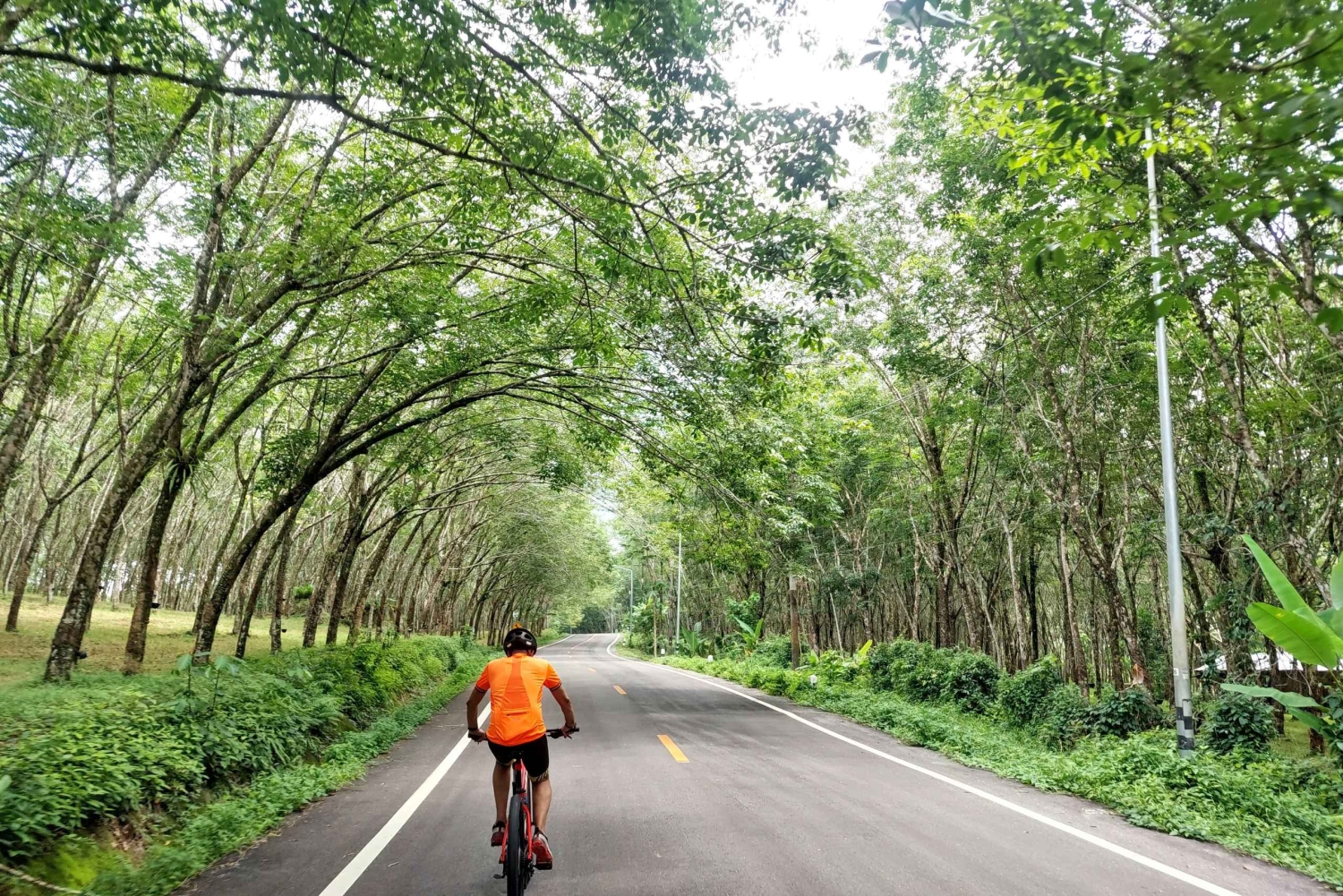 Khao Lak: Halvdagstur til vandfald og søer med frokost