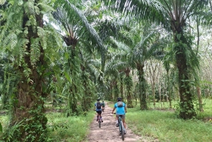 Khao Lak: Halvdagstur til vandfald og søer med frokost